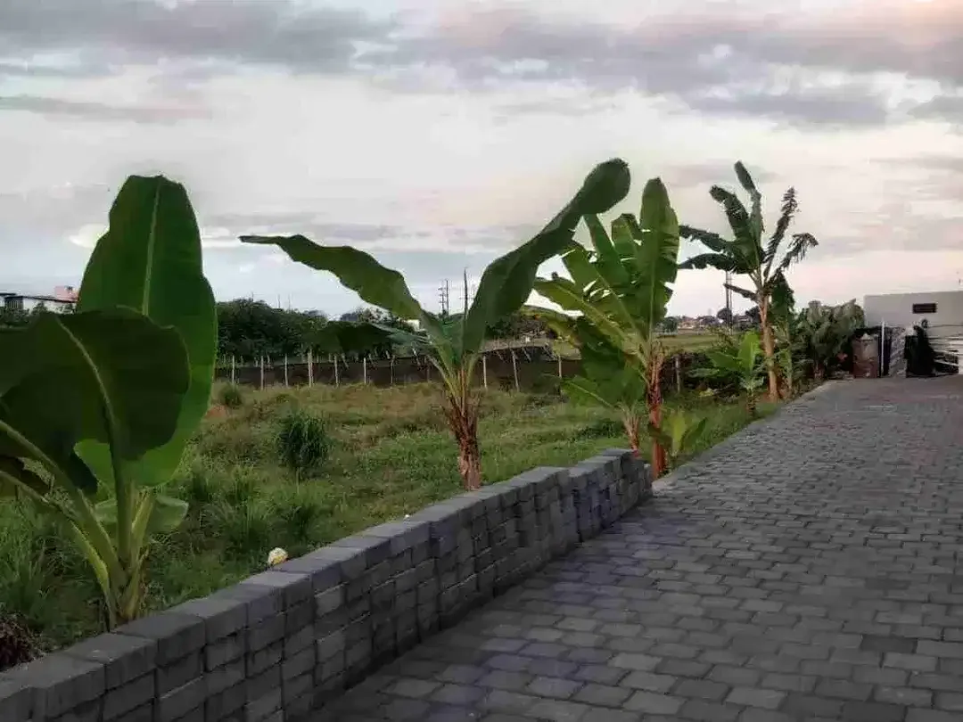 Di kontrakan tanah jalan Tukad Balian , Renon, Denpasar, Bali - Image 3 of 6