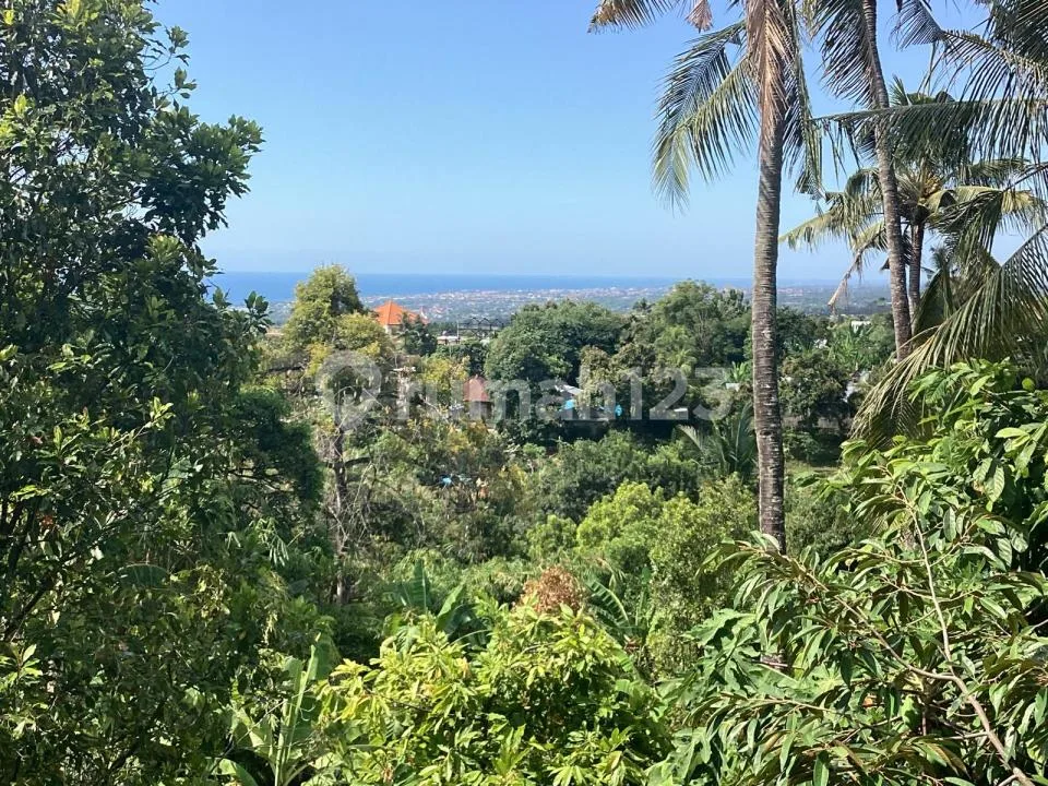 For Sale My Fantastic Ocean View Land N House On Aspal - Image 2 of 4