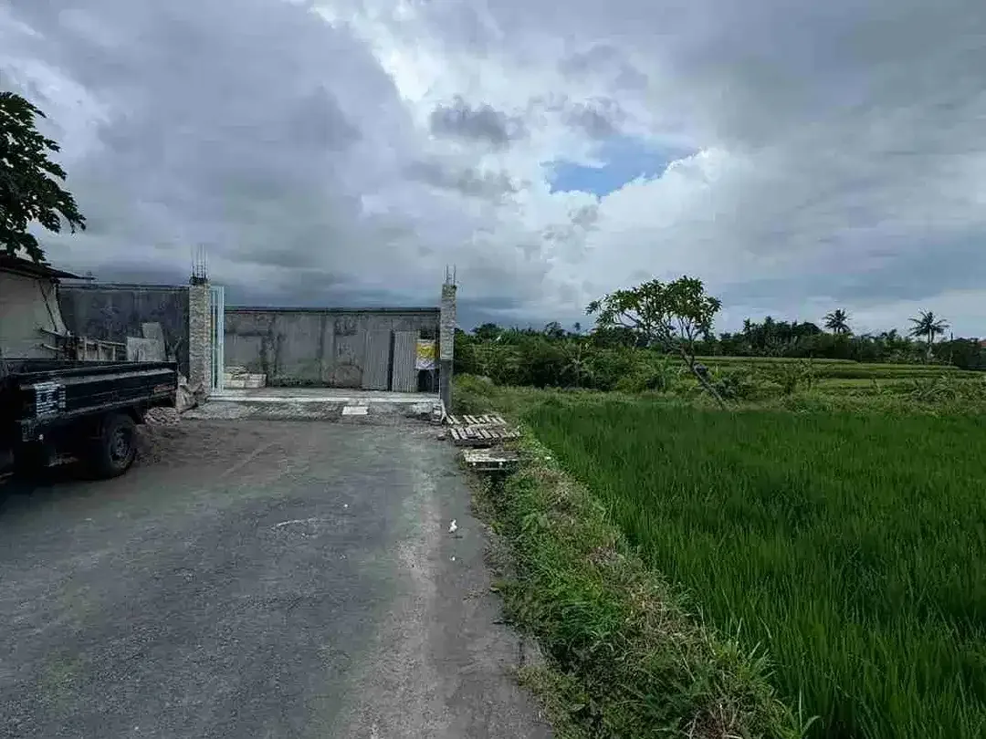 Tanah View Sawah Cantik di Ketewel Dekat Pantai dan Sekolah Internasional - Image 8 of 8