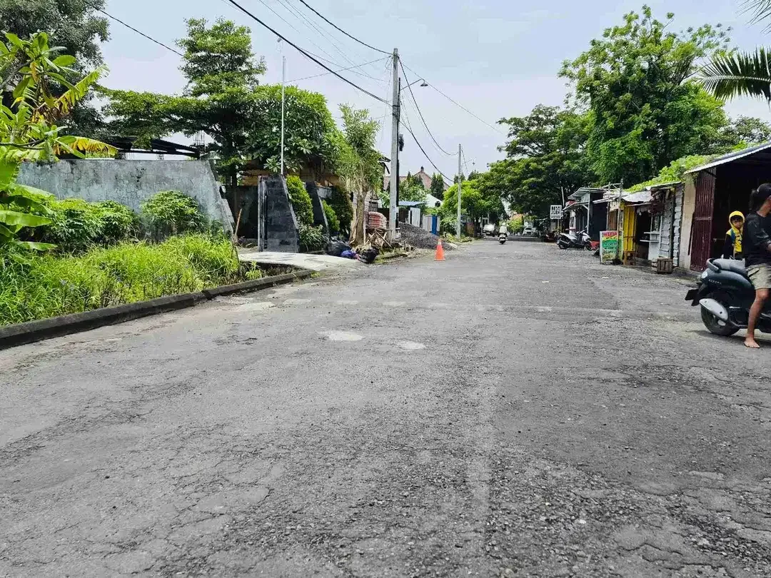 Tanah badak agung renon - Image 1 of 7