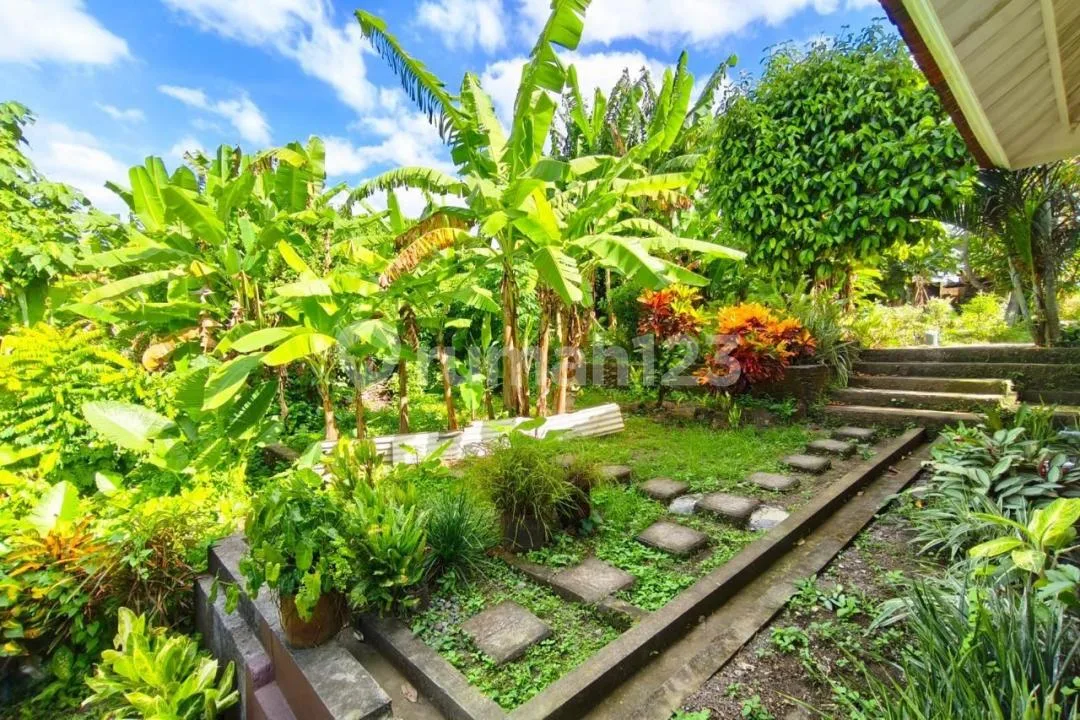 1Br Villa Canggu - Image 3 of 4