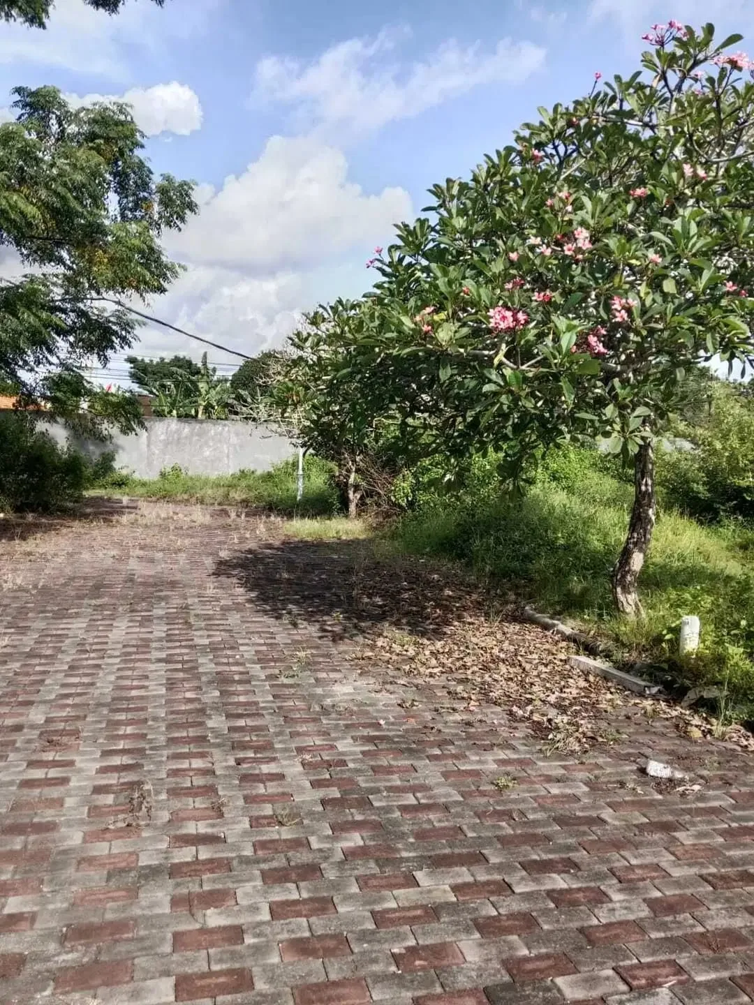 Dijual Tanah Kavling dijalan Utama Uluwatu Kawasan Prime Summerfield - Image 5 of 6