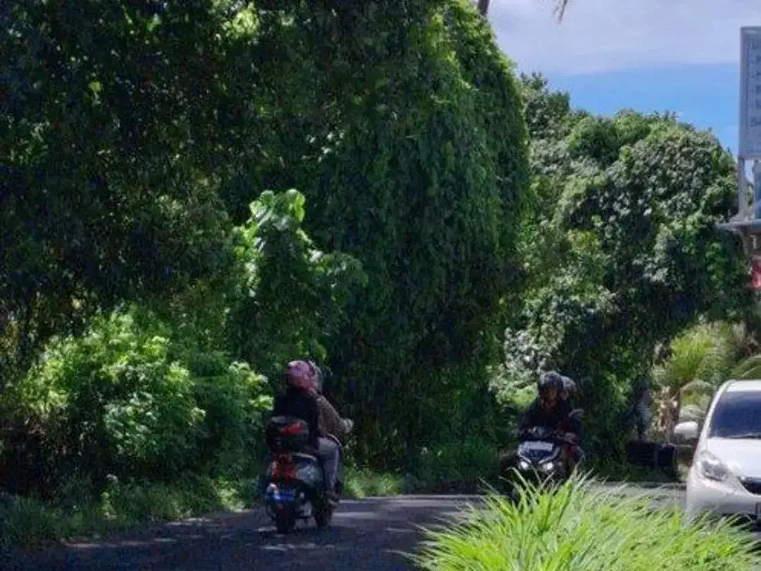 Tanah Premium 7,7 Are Dijual, di Pering Gianyar Area - Image 3 of 5