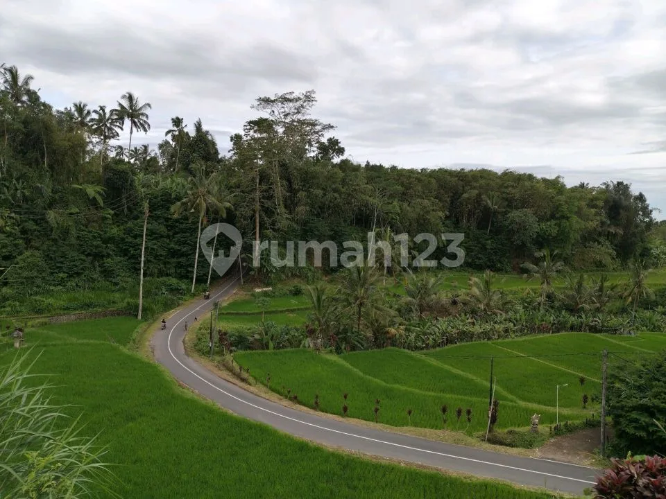 Tanah untuk Villa di Ubud View 360â° Diatas Bukit. - Image 4 of 4