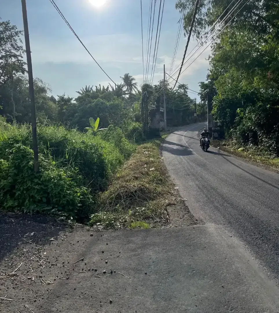 15mnit ke Pererenan Canggu, Kedungu - Image 2 of 5