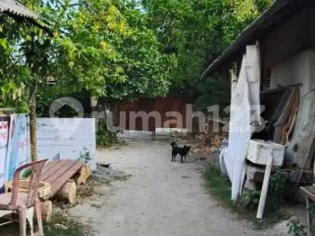 Tanah Kawasan Villa Sanur, Total 120 Are, Minimal Sewa 50 Are, Rp 23 Juta/Are - Image 3 of 5