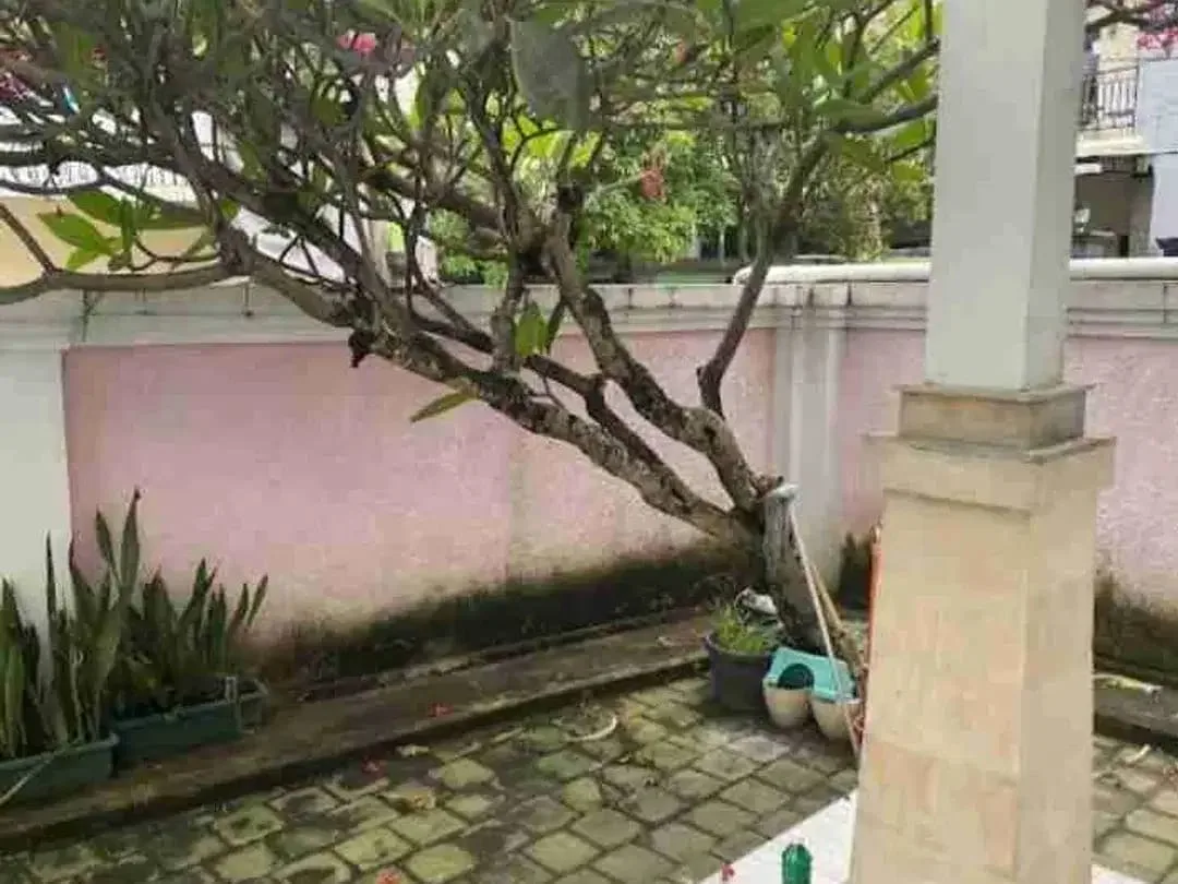 RUMAH SEWA SEMI FURNISHED PAMOGAN DENPASAR SELATAN BALI - Image 3 of 10