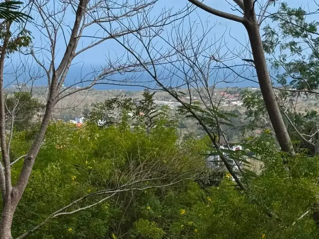 Premium Ocean View Land for Sale in Balangan, Bali – 9,250 m² Freehold Tourism Zone, Ideal for Villa, Resort & Hotel Development - Image 3 of 5