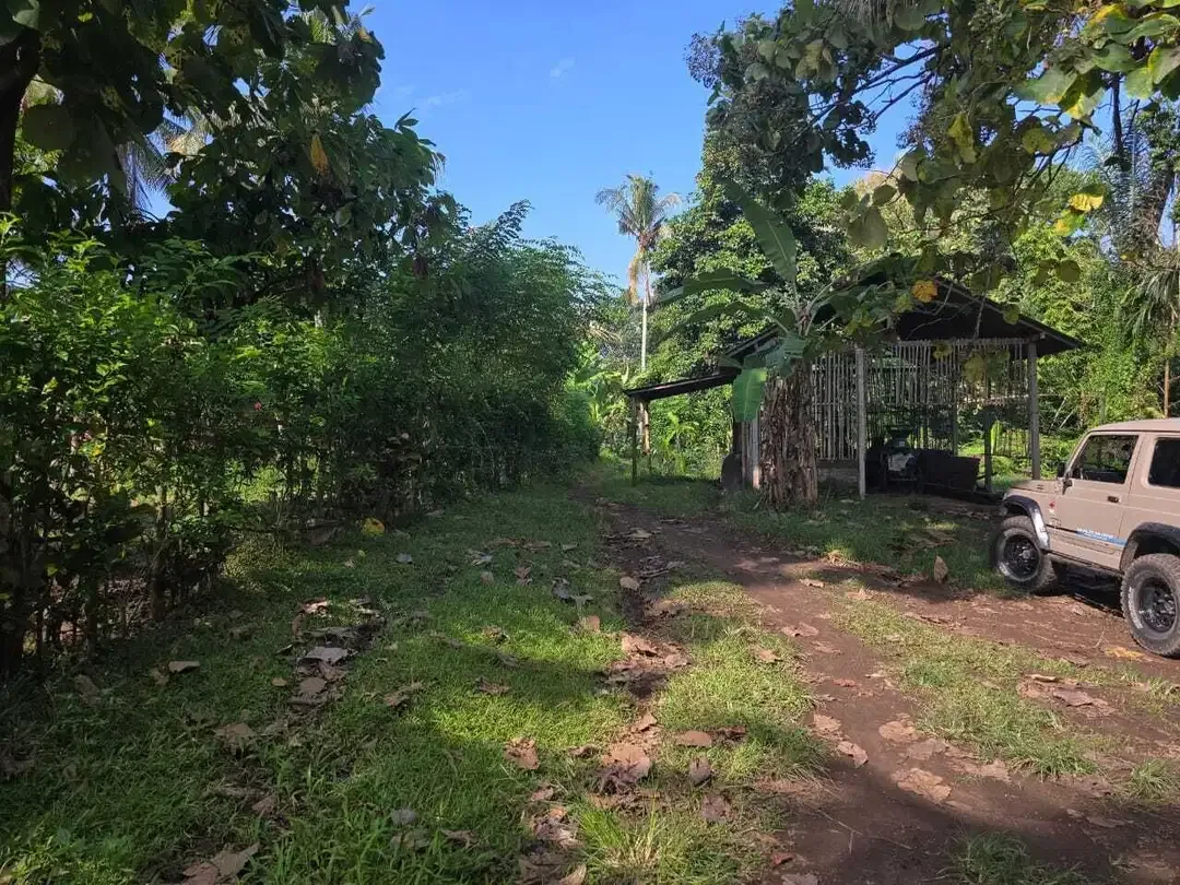 Dijual tanah los sungai di selamadeg tabanan - Image 5 of 8