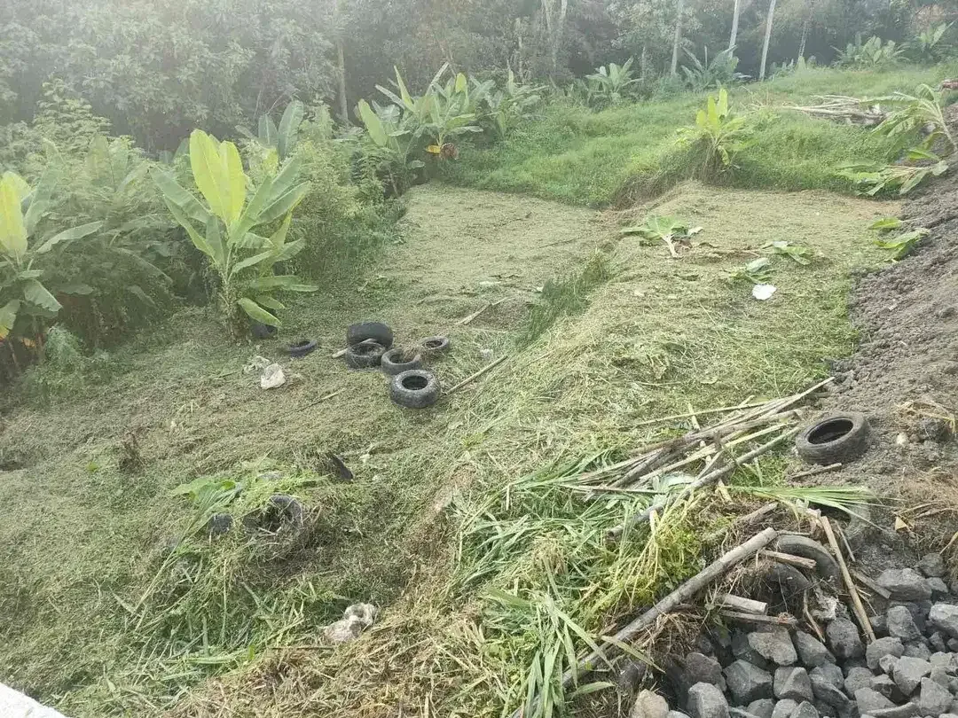 SMALL PLOT RICE FIELD , JUNGGLE AND RIVER VIEW AT SINGAPADU UBUD GIANYAR - Image 3 of 10