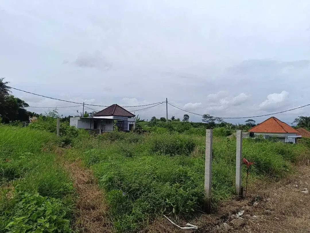 Kavling Murah View Sawah, Gunung, dan Ocean di Pering Gianyar - Image 5 of 7