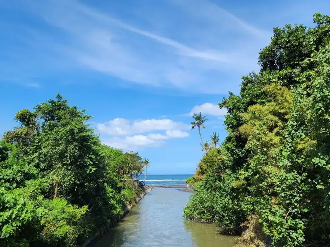 Dijual tanah kavling dekat pantai di Saba, Blahbatuh, Gianyar.  Hanya 7 menit jalan kaki ke pantai - Image 5 of 6