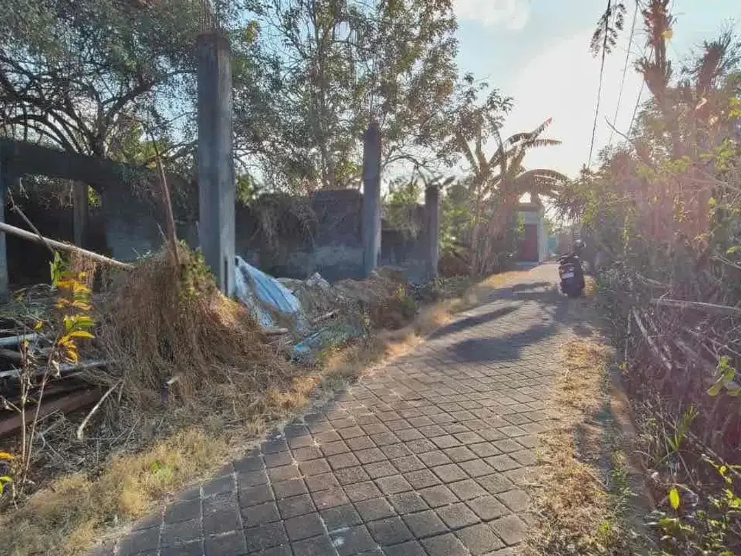 Tanah Strategis 268 m2 Dekat Tol Nusa Dua Jl Gedong Sari - Image 5 of 10