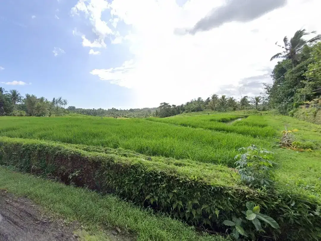 6580 sqm land for sale in an enchanting landscapes of Tabanan, Bali - Image 8 of 9