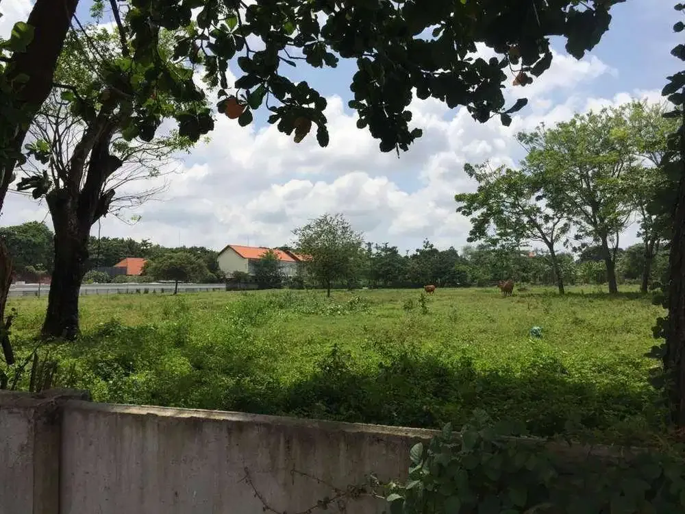 LAHAN LOKASI PINGGIR JALAN UTAMA PANTAI MATAHARI TERBIT SANUR - Image 8 of 10