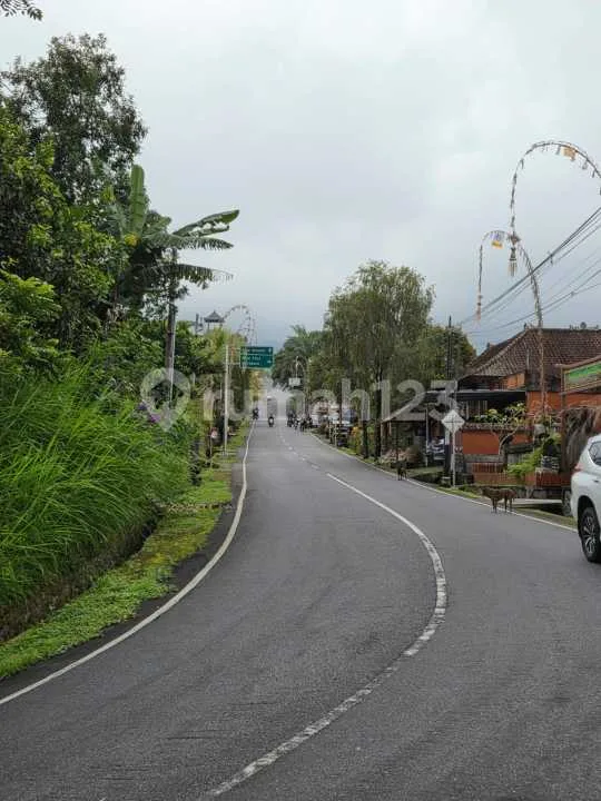 Tanah Luas di Besakih - Image 3 of 4
