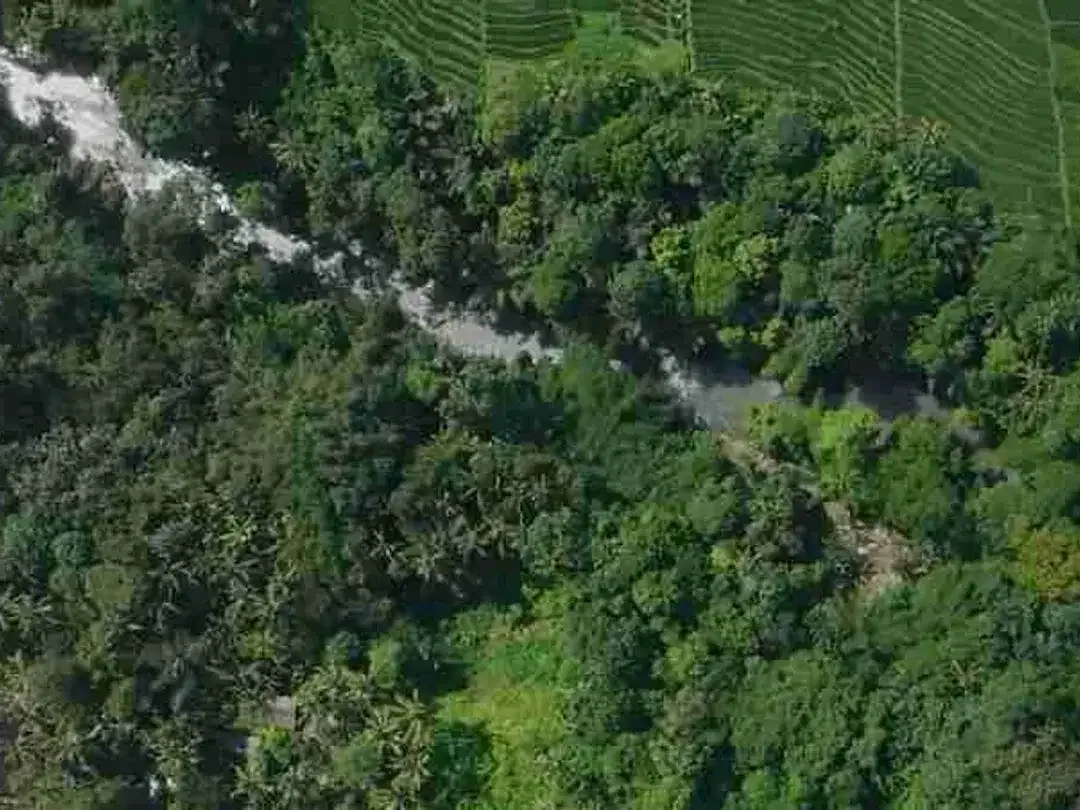 land in river side and jungle near canggu - Image 2 of 10