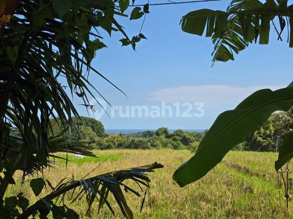 Tanah Kecil Murah View Cantik Sawah dan Laut di Tabanan - Image 1 of 4