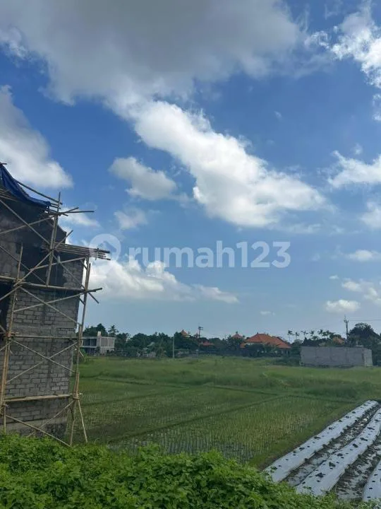 Villa Baru Full Furnished With Pool View Sawah Strategis Tangeb Badung - Image 2 of 4