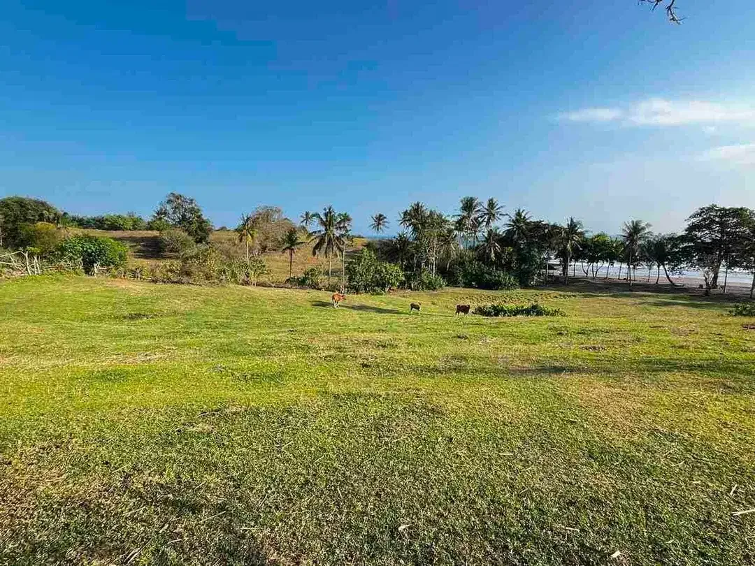 dijual tanah Los pantai kelecung tabanan bali - Image 10 of 10