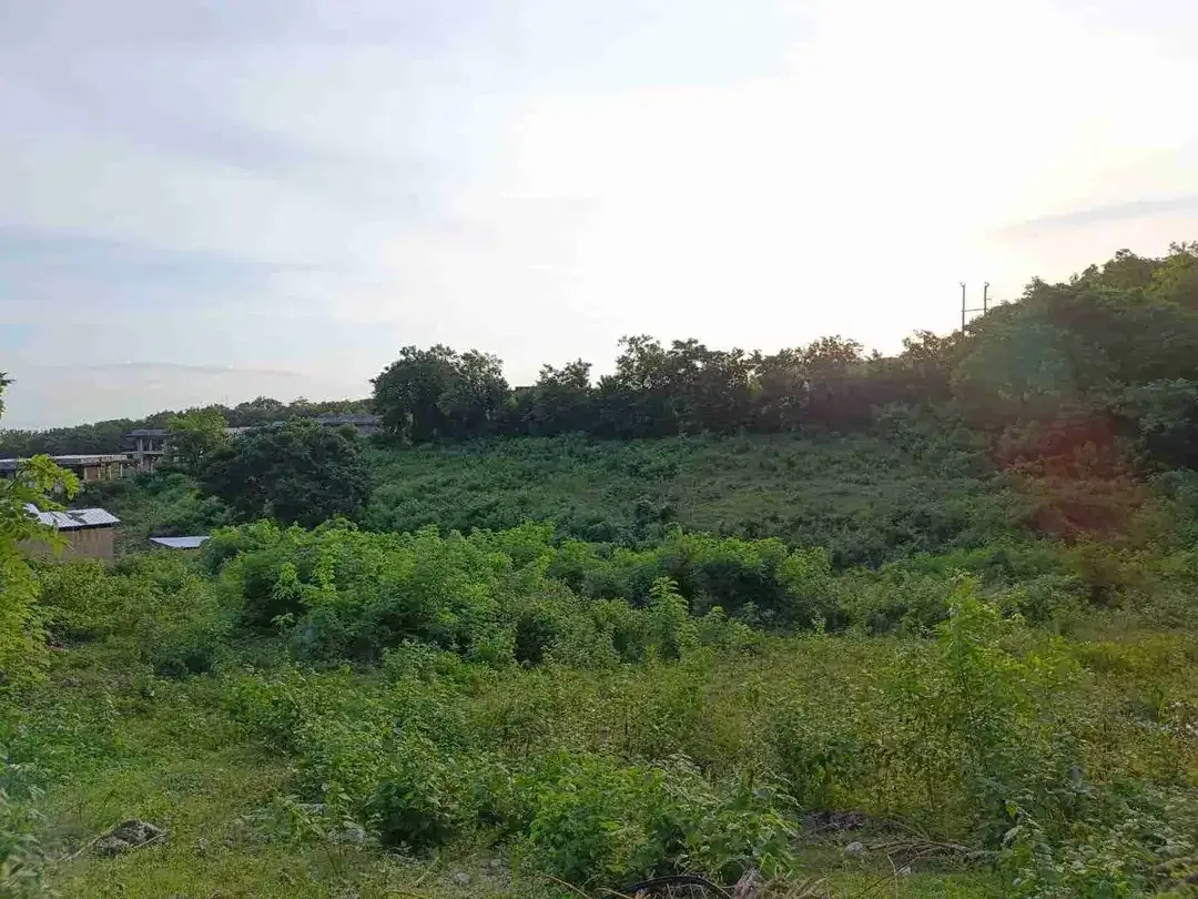 Tanah Premium Jl Belimbing Sari Pecatu - Image 6 of 7