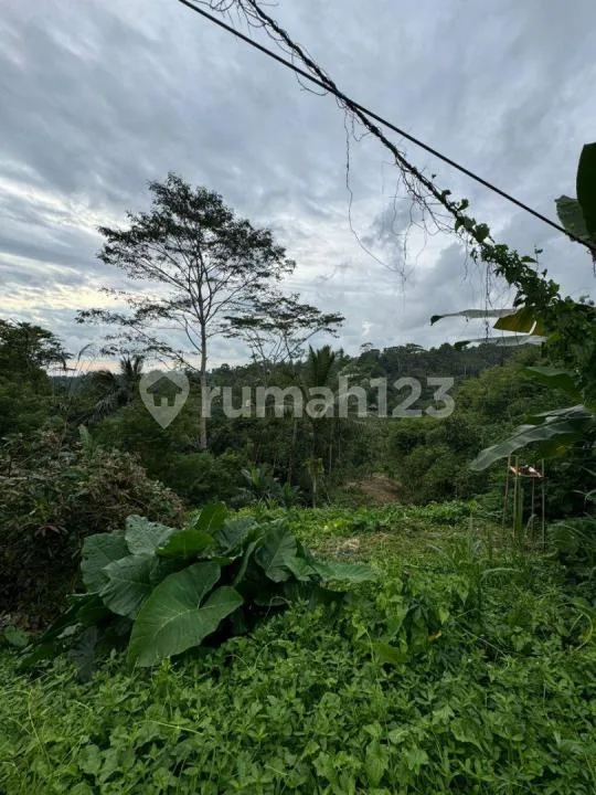 Tanah Murah Jalan Utama Jasan Sebatu Tegalalang Ubud Bali - Image 3 of 4