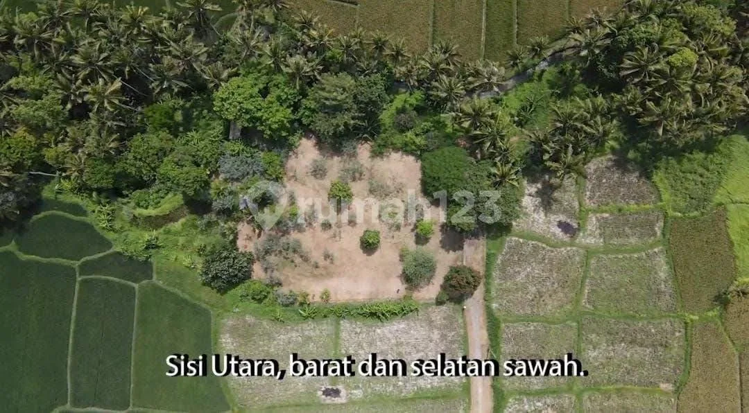 Dijual Tanah Strategis Lodtunduh Ubud - Image 1 of 4