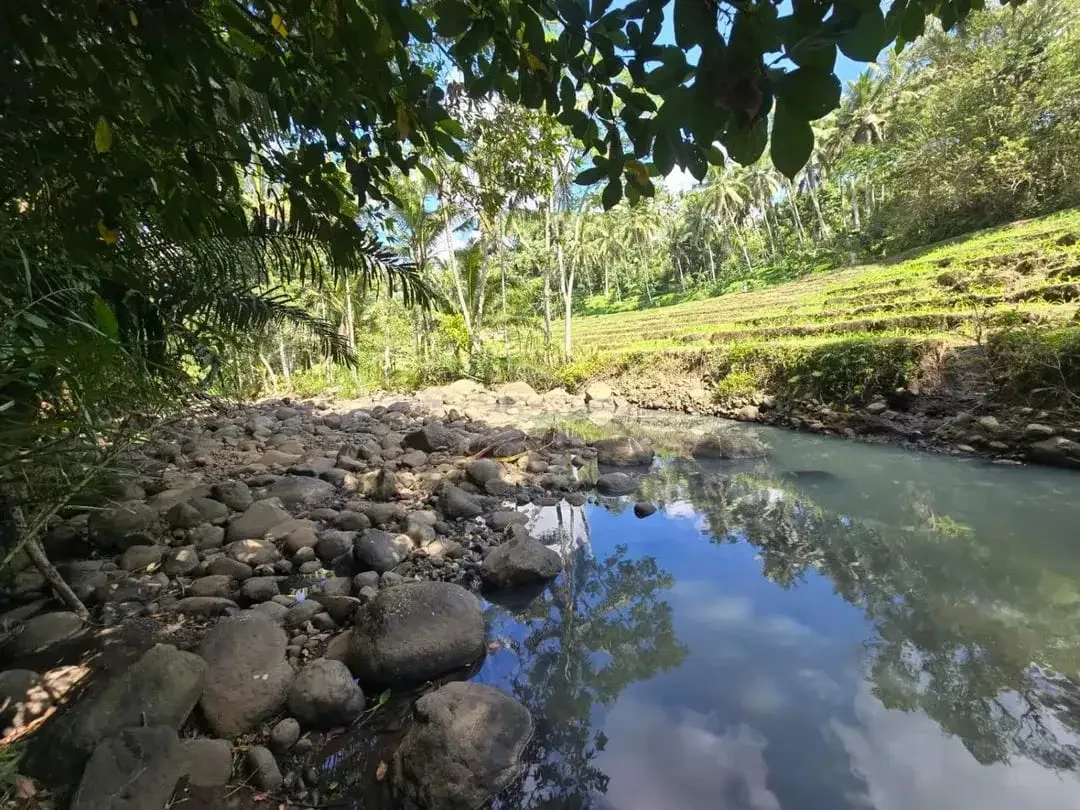 DIJUAL TANAH MURAH DI TABANAN - Image 3 of 10