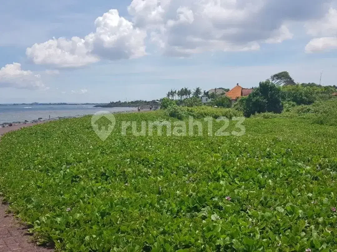 Dijual Tanah Beachfront 19 Are, Dipantai Pabean, Ketewel - Image 7 of 7