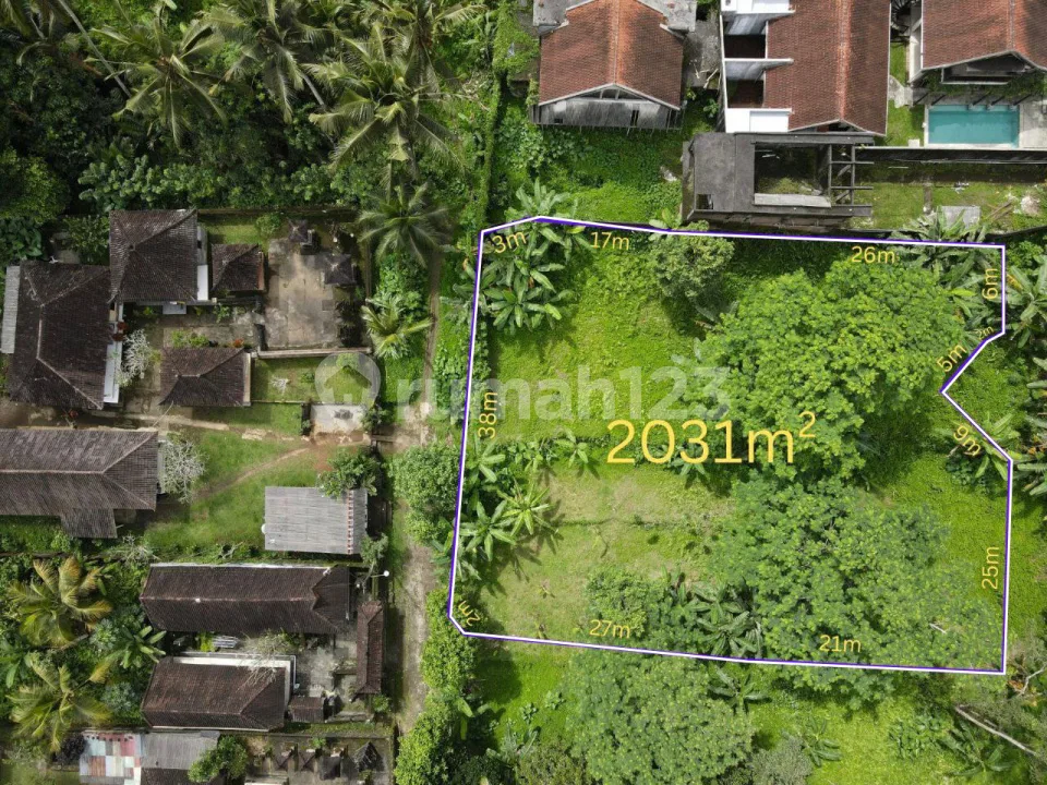 Tanah Murah di Pejeng Ubud 2031 M2 - Image 4 of 4