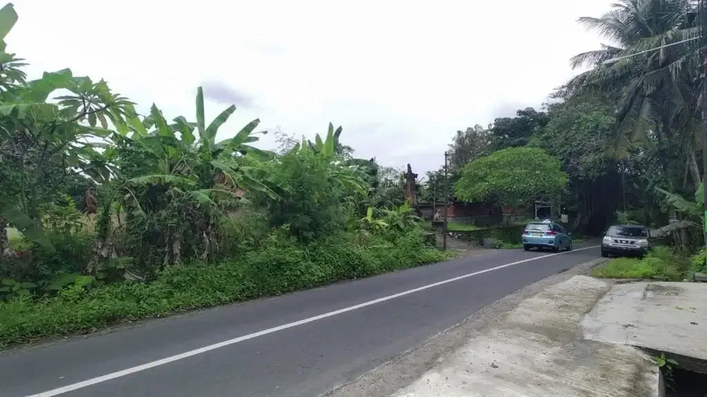 Tanah 690m2 View Sawah di Jalan Utama pantai Kedungu - Image 6 of 10