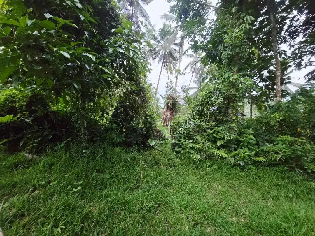 DIJUAL TANAH MURAH DI TABANAN
Batuaji - Image 9 of 10