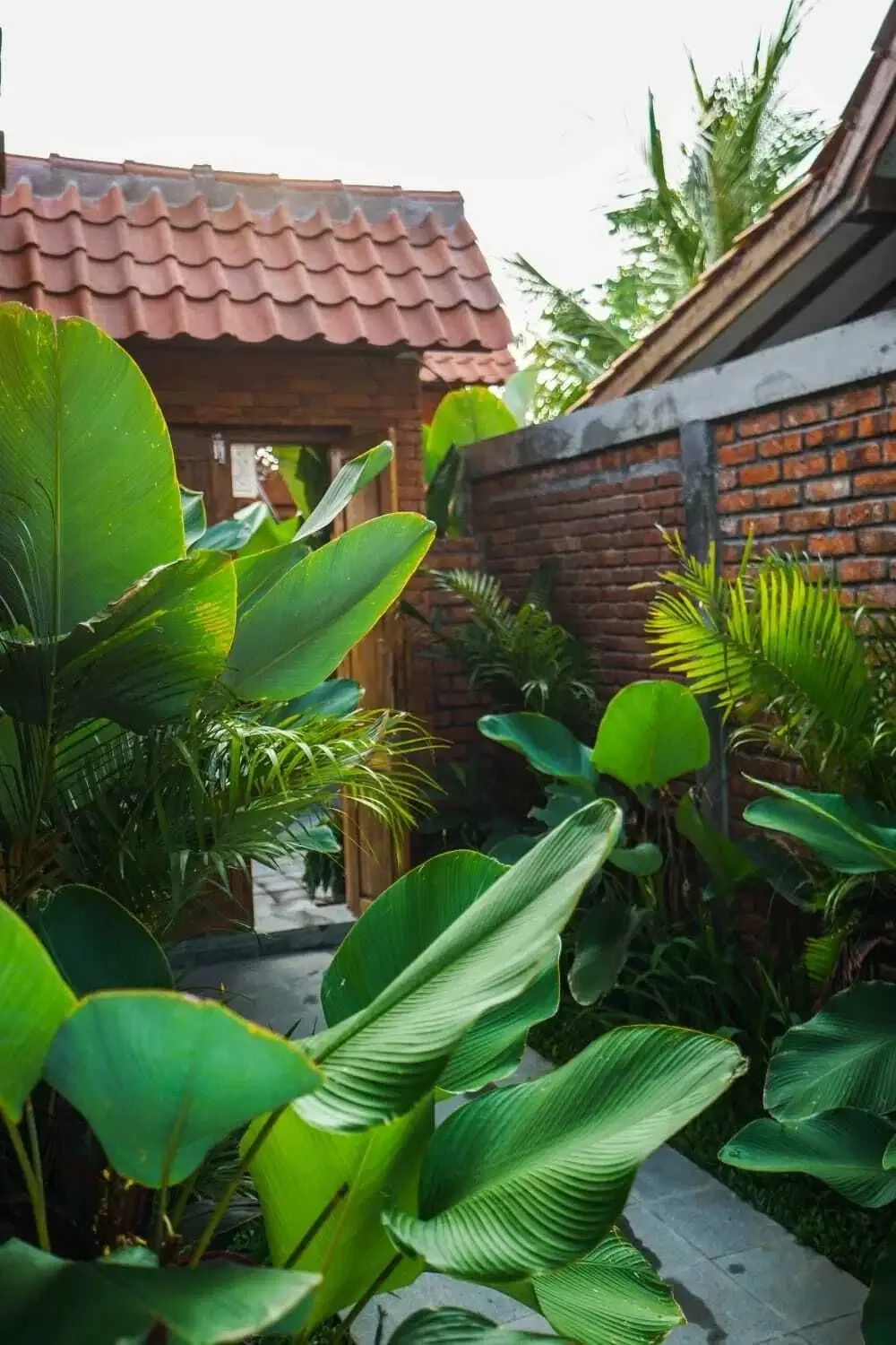 DISEWAKAN 1 BEDROOM POOL VILLA – SEMANA, UBUD – VIEW SAWAH - Image 5 of 10