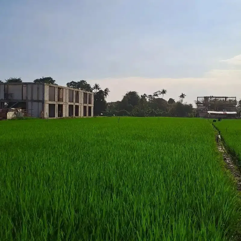 tanah kontrak dekat pantai seseh zona pariwisata pink - Image 3 of 7