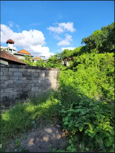 tanah murah jl. Merdeka kuta - Image 6 of 8
