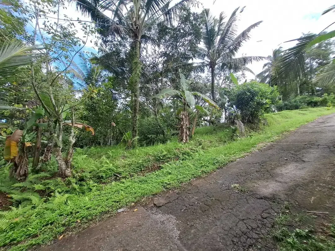 Dijual murah tanah kebun view sawah dan los sungai - Image 4 of 10