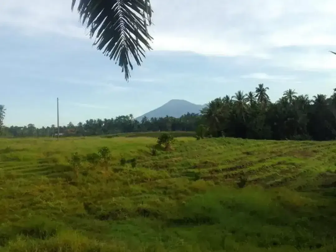 RUMAH ASRI 1 LANTAI VIEW SAWAH & GUNUNG DI GRAHA CANDRA TABANAN - Image 3 of 3
