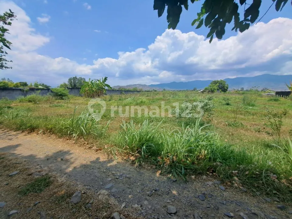 For sale land beach front good for invest or bulid resort - Image 4 of 4