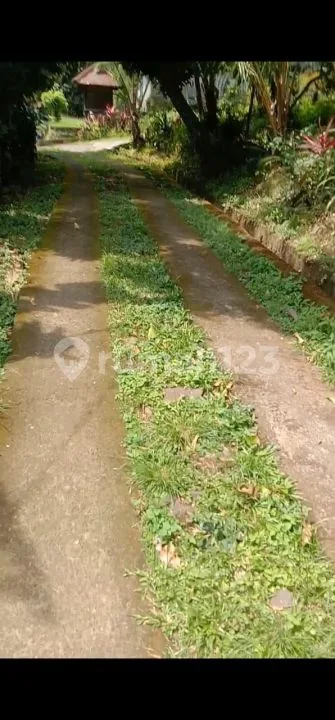 TANAH KEBUN VIEW LAUT BULIAN - Image 2 of 4