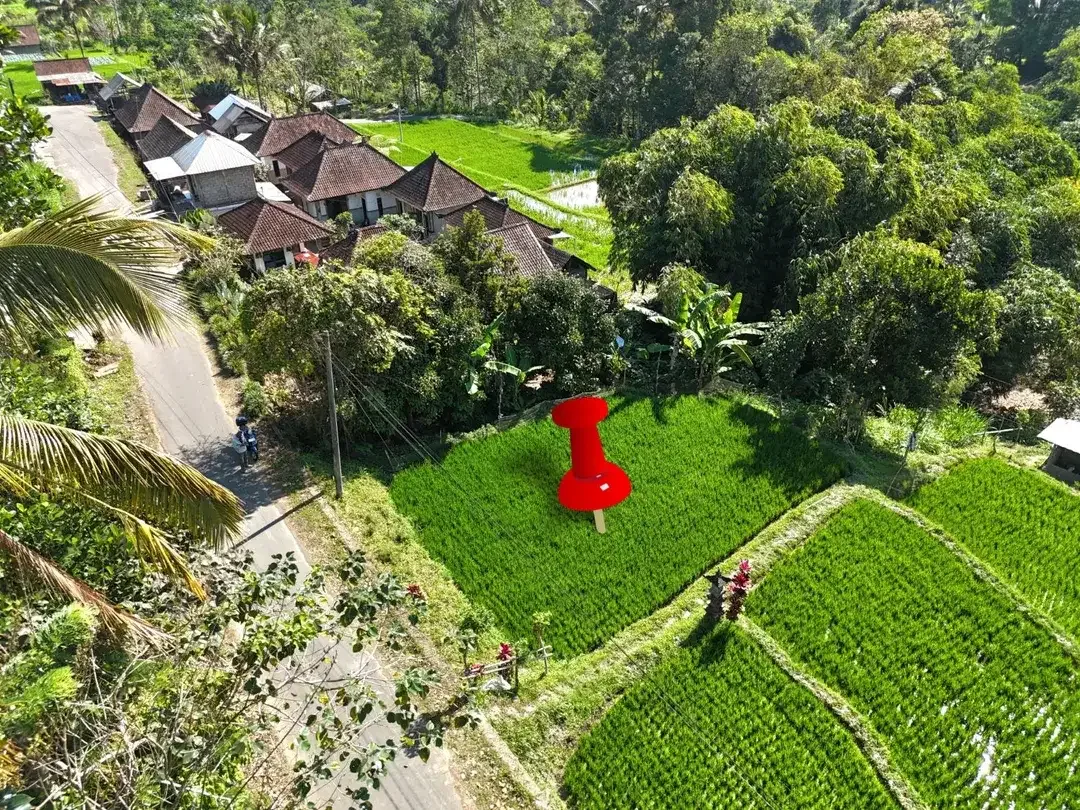Tanah Tegalallang Ubud Pemandangan Sawah dan Sungai Kecil - Image 2 of 10