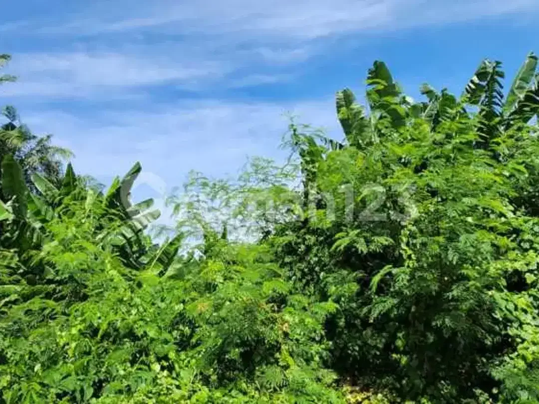 Prime Business Land di Sunset Road Kuta Bali- High Traffic, High Profit! - Image 4 of 5