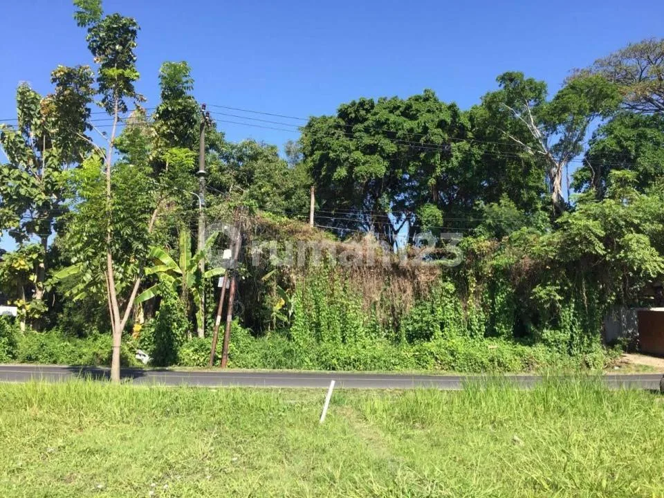 Dijual Tanah di Padang Lingjong, Canggu - Image 1 of 4