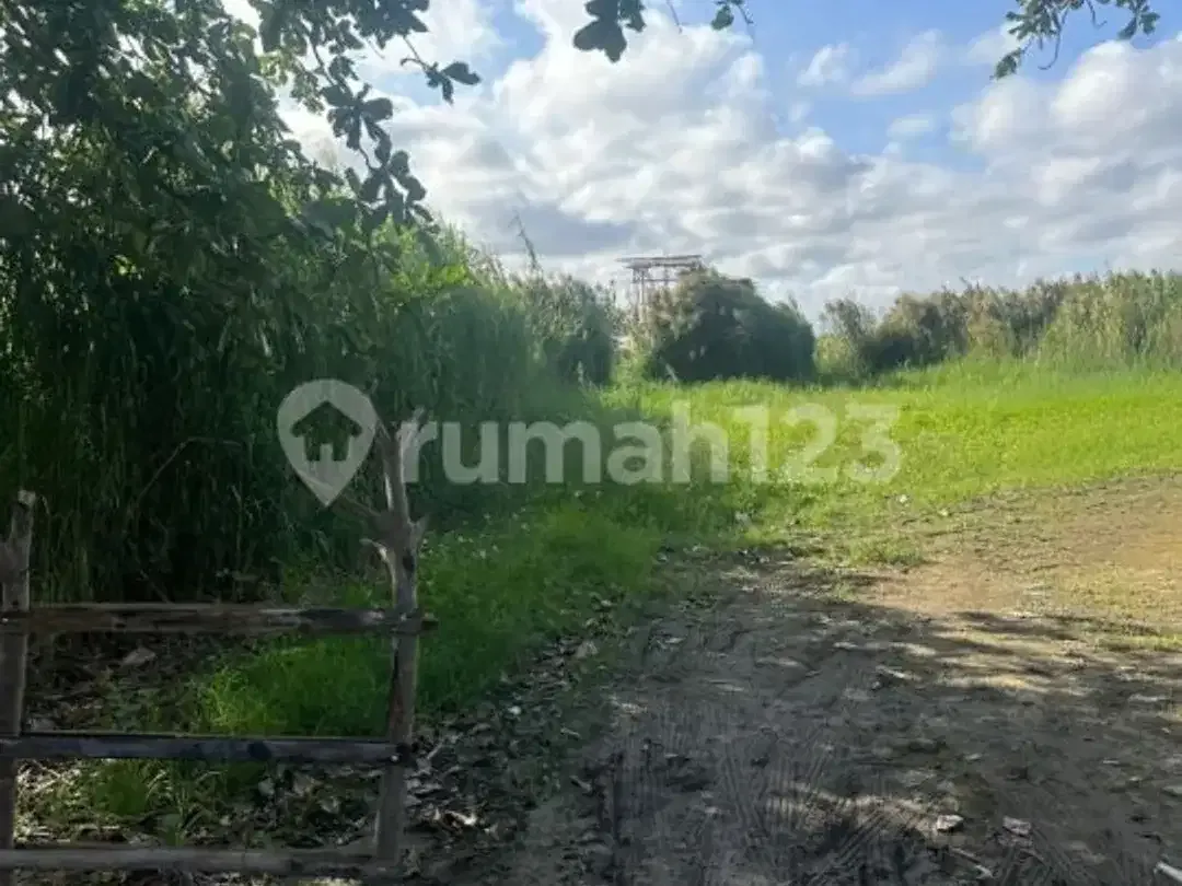 Dijual Tanah Premium Sangat Langka Dekat Pusat Wisata dan Pantai - Image 4 of 10