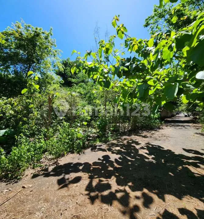 Di Jual Tanah Pecatu Dekat Hotel Savaya Alila Pecatu Sangat Cocok untuk Komplex Villa - Image 4 of 4