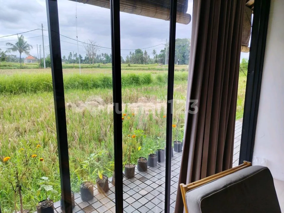 For Rent Villa Ubud Most Beautiful Rice Fields View In Ubud Gianyar Bali Indonesia 10 Menutes From Mongkey Forest Center Ubud Bali Indonesia Strategis With Rice Field View Ubud Gianyar Bali Indonesia - Image 3 of 4