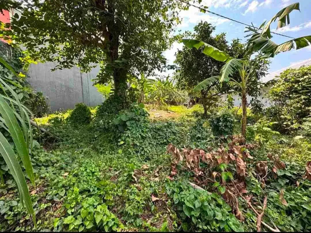 Di jual tanah luas 495 M2 di jalan cargo indah selatan Citraland Denpasar - Image 4 of 10