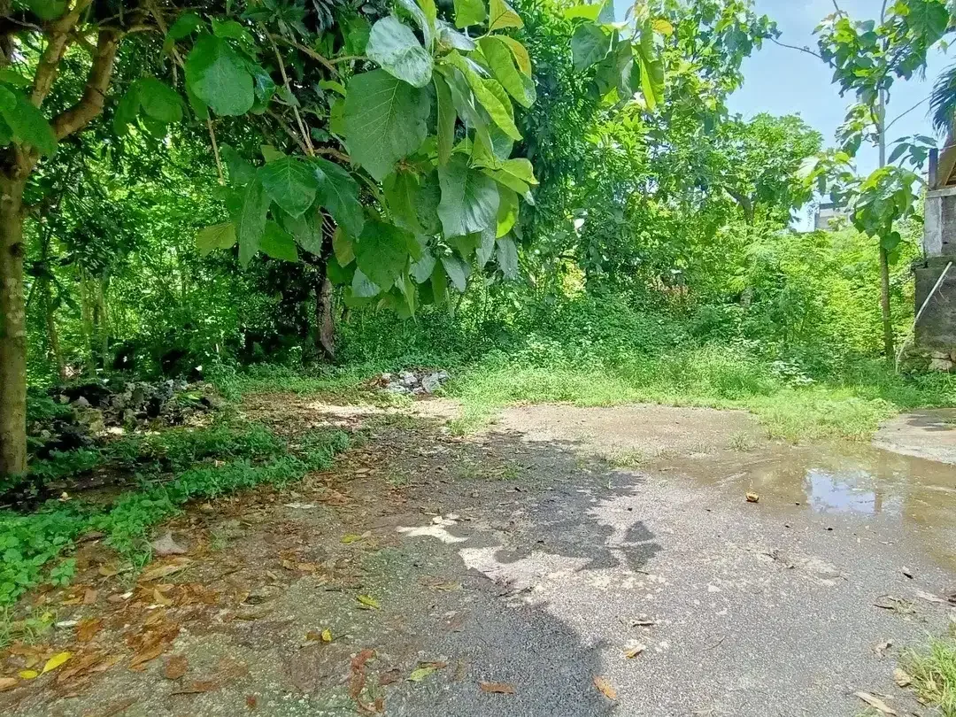TURUN HARGA Dijual Tanah 6,3 Are Lokasi Strategis di Jl.Palapa, Benoa. - Image 7 of 8