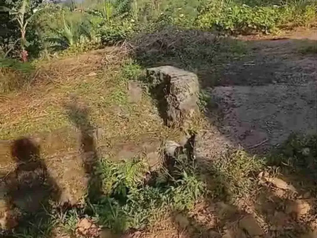 Tanah View Lembah di Wanagiri dekat Giriwood dan Munduk Moding - Image 2 of 3