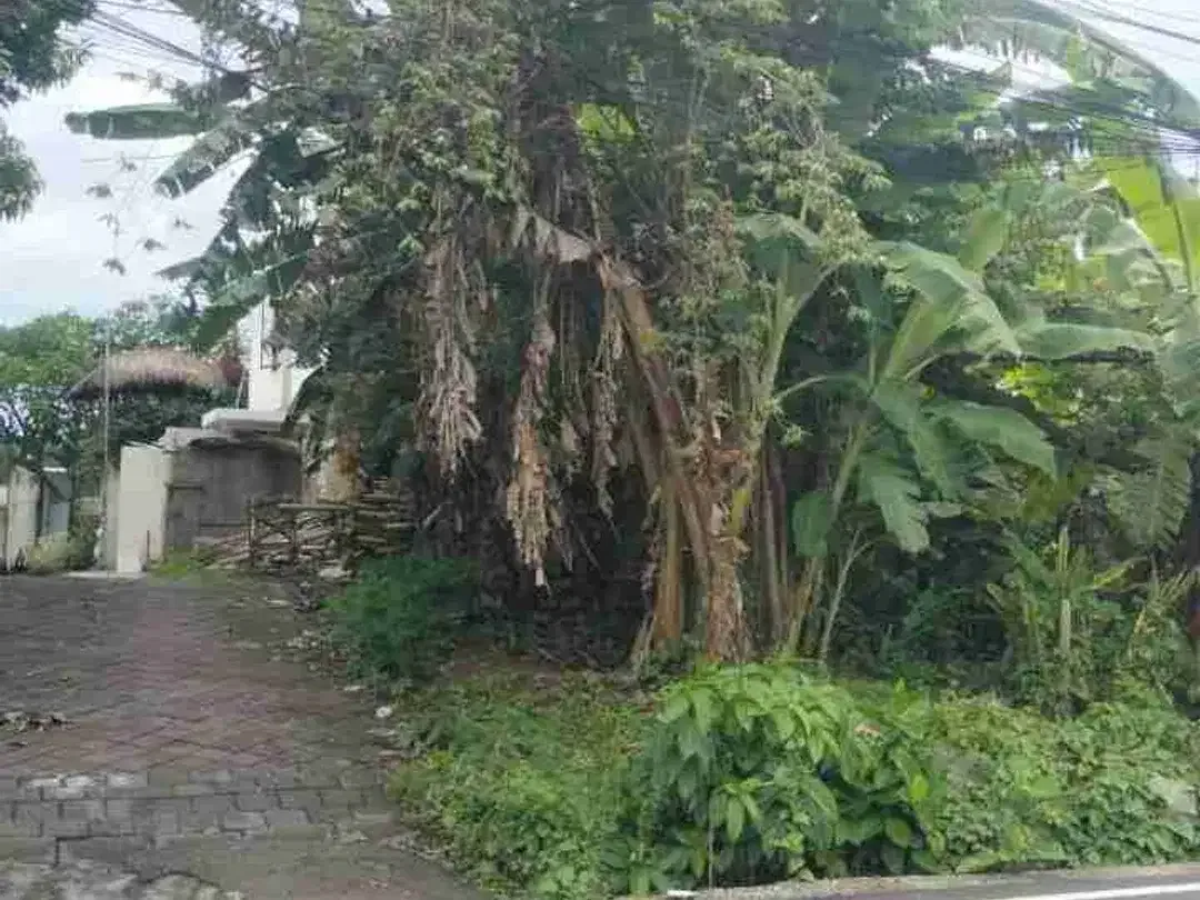 Tanah Komersial Jalan Utama Tumbak Bayuh Canggu - Image 5 of 6