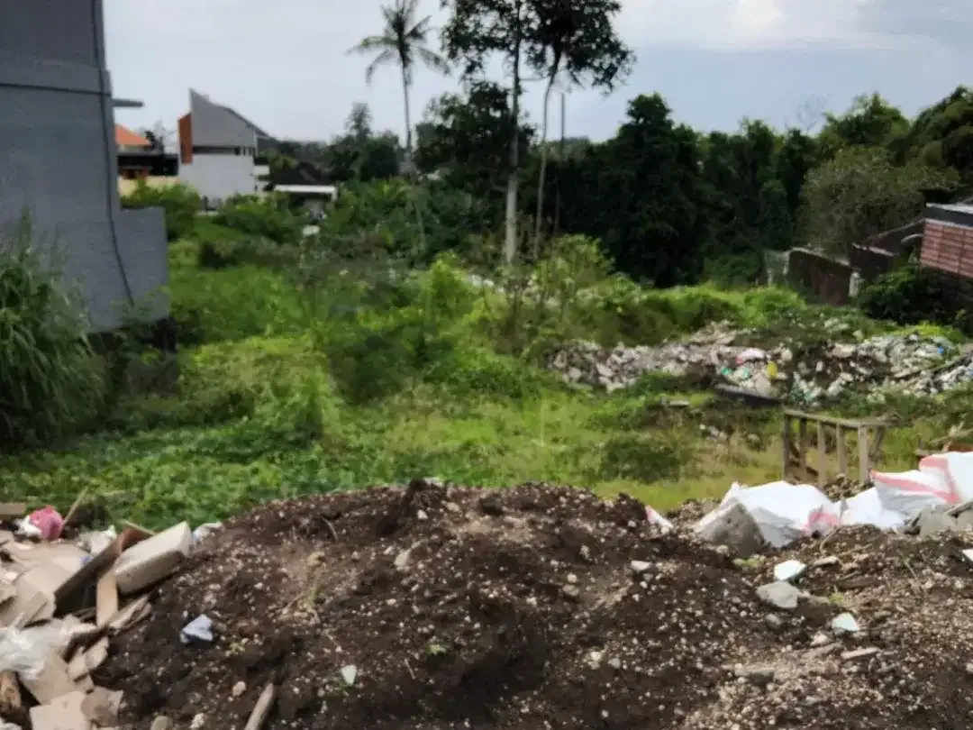 DIJUAL CEPAT – TANAH STRATEGIS PADANG TAWANG, CANGGU – BALI - Image 2 of 10